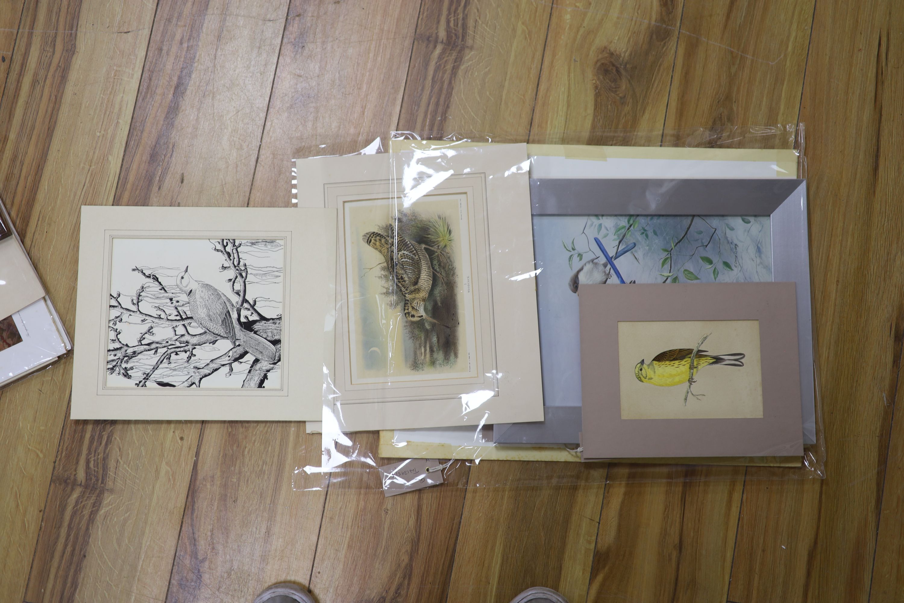 A collection of framed and unframed wildlife prints after Archibald Thorburn, David Digby and others